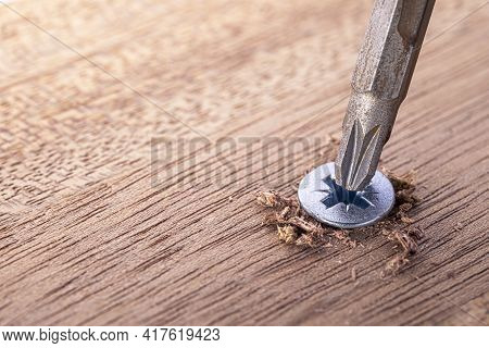 Screwdriver Screw In A Wood Oaks Plank. Self-tapping Screw For Pz3 Bit. Screws Macro Photo. Construc