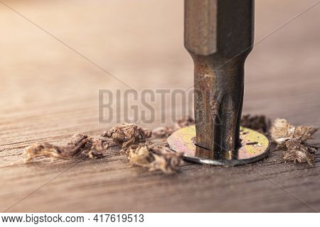 Screwdriver Screw In A Wood Oaks Plank. Self-tapping Screw For Torx 25 Bit. Screws Macro Photo. Cons