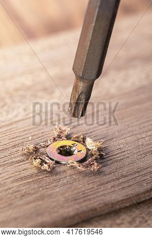 Screwdriver Screw In A Wood Oaks Plank. Self-tapping Screw For Torx 25 Bit. Screws Macro Photo. Cons