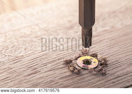 Screwdriver Screw In A Wood Oaks Plank. Self-tapping Screw For Torx 25 Bit. Screws Macro Photo. Cons