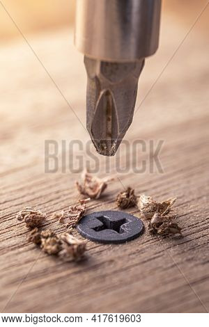 Screwdriver Screw In A Wood Oaks Plank. Self-tapping Screw For Ph2 Bit. Screws Macro Photo. Construc