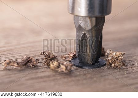 Screwdriver Screw In A Wood Oaks Plank. Self-tapping Screw For Ph2 Bit. Screws Macro Photo. Construc