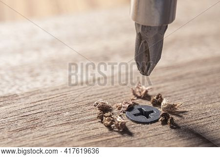 Screwdriver Screw In A Wood Oaks Plank. Self-tapping Screw For Ph2 Bit. Screws Macro Photo. Construc