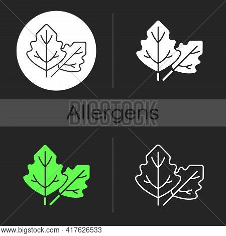Lambs Quarters Dark Theme Icon. Cause Of Allergic Reaction. Lambsquarters, Goosefoot Leaves. Allergy