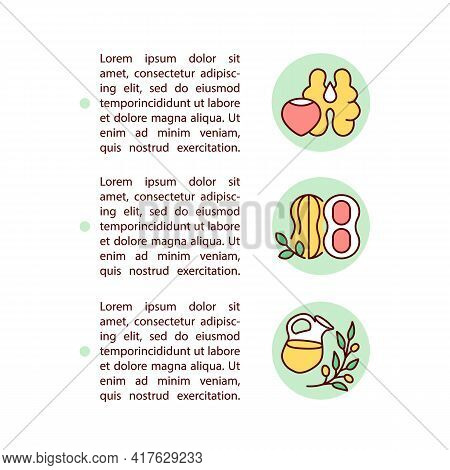Nuts And Olive Oils Concept Line Icons With Text. Ppt Page Vector Template With Copy Space. Brochure