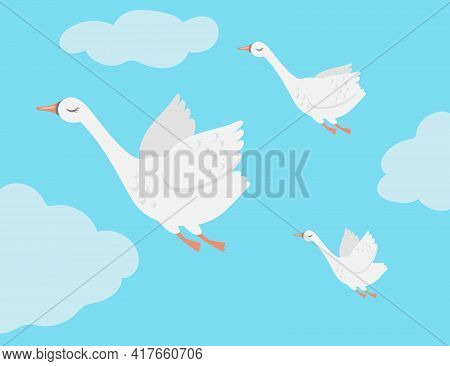 Group Of Swan Birds Flying In Sky Cartoon Vector Illustration. Goose Family Migrating Together To Wa