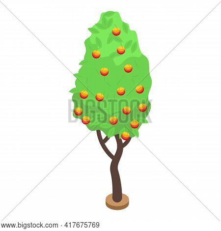 Peach Fruit Tree Icon. Isometric Of Peach Fruit Tree Vector Icon For Web Design Isolated On White Ba