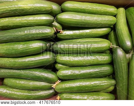 Background Of Long Green Cucumbers In Close-up. Texture Of Green Cucumbers