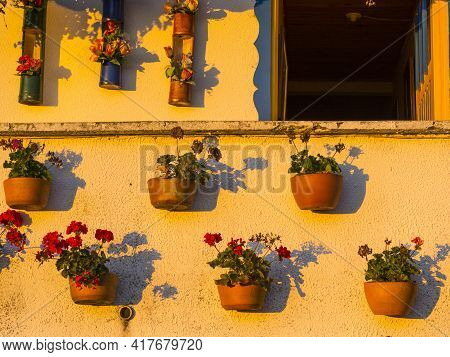 Plants In Pots Hanging In A Wall At The Golden Hour