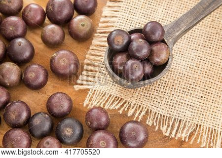 Plinia Cauliflora - Brazilian Exotic Berry Jabuticaba