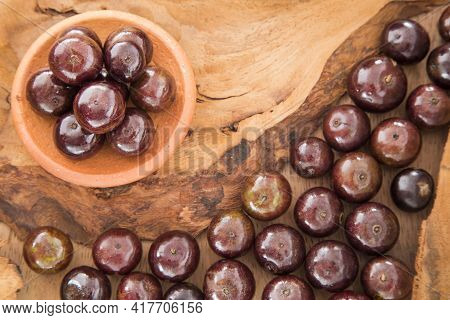 Brazilian Exotic Berry Jabuticaba - Plinia Cauliflora
