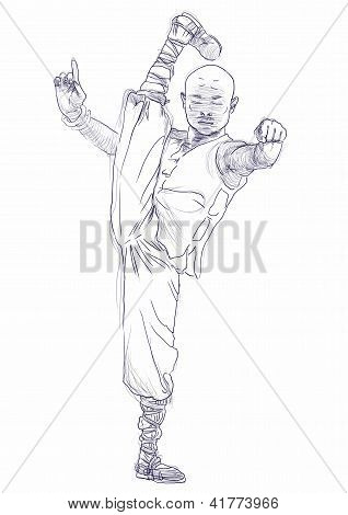 kung fu sotureita