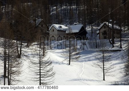Devero Park ( Verbano-cusio-ossola ), Italy - January 15, 2017: Alpe Devero Park Landscape, Ossola V
