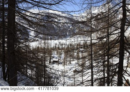 Devero Park ( Verbano-cusio-ossola ), Italy - January 15, 2017: Alpe Devero Park Landscape, Ossola V