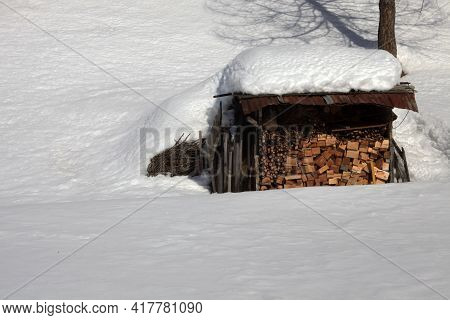 Devero Park ( Verbano-cusio-ossola ), Italy - January 15, 2017: A Firewood In Alpe Devero Park, Osso