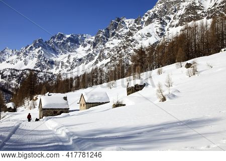 Devero Park ( Verbano-cusio-ossola ), Italy - January 15, 2017: Alpe Devero Park Landscape, Ossola V