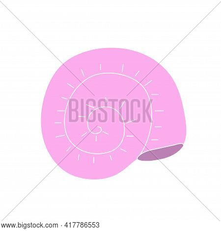 Beautiful Curly Seashell On An Isolated Background. Malyusk In The Sink. Marine Life In The Sea And 