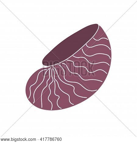 Beautiful Curly Burgundy Shell On An Isolated Background. Malyusk In The Sink. Marine Life In The Se