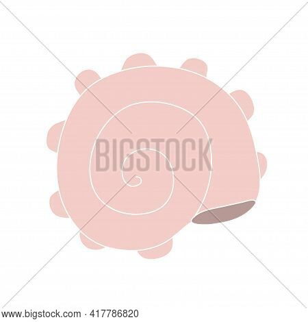 Beautiful Curly Seashell On An Isolated Background. Malyusk In The Sink. Marine Life In The Sea And 