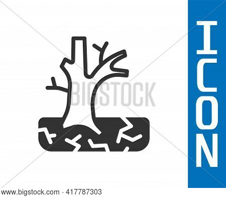 Grey Withered Tree Icon Isolated On White Background. Bare Tree. Dead Tree Silhouette. Vector
