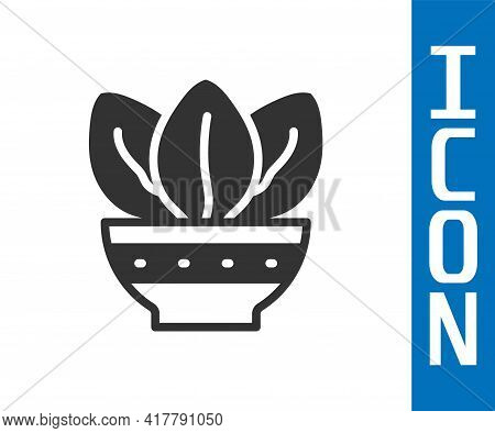 Grey Plant In Pot Icon Isolated On White Background. Plant Growing In A Pot. Potted Plant Sign. Vect