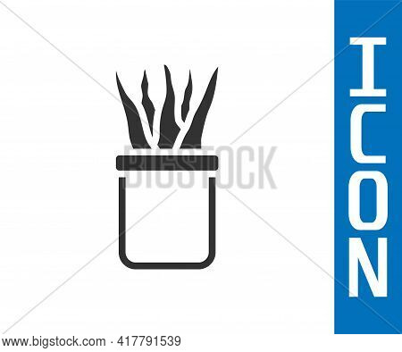 Grey Plant In Pot Icon Isolated On White Background. Plant Growing In A Pot. Potted Plant Sign. Vect
