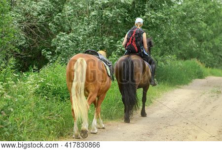 Caucasian Woman And Two Horses Are Walking On Rural Road, Behind View.