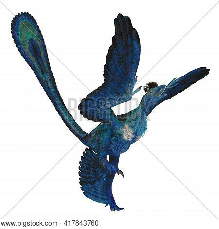 Microraptor Reptile Tail 3d Illustration - Microraptor Was A Carnivorous Four-winged Reptile Bird Th