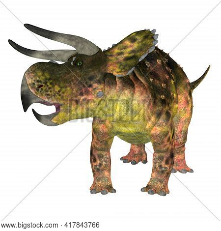 Nasutoceratops Dinosaur On White 3d Illustration - Nasutoceratops Was A Herbivorous Ceratopsid Dinos