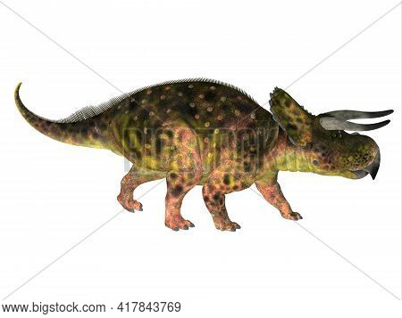 Nasutoceratops Dinosaur Side Profile 3d Illustration - Nasutoceratops Was A Herbivorous Ceratopsid D