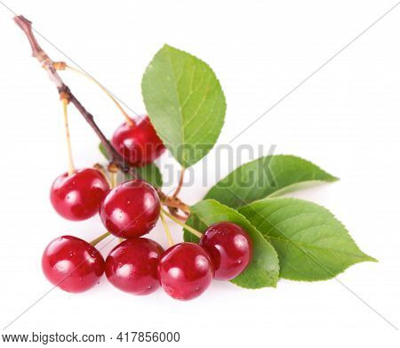 Ripe Fresh Red Cherry Isolated On White Background. With Clipping Path.