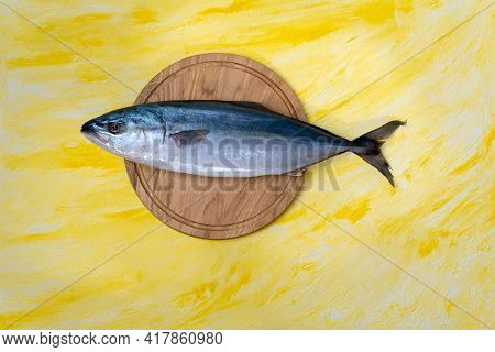 Yellow Tailed Lacedra Is A Species Of Marine Ray Finned Fish In The Family Carangidae. On A Yellow B
