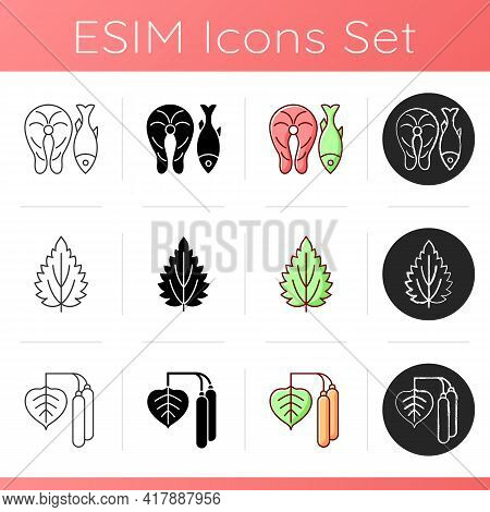 Common Allergens Icons Set. Fish And Marine Food. Nettle Leaf. Birch Pollen. Reason For Allergy. Her