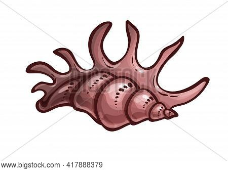 Sea Shell With With Appendages. Lambis Millepeda