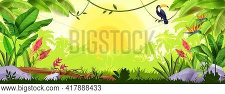 Jungle Background, Rainforest Sunrise, Nature Wood Landscape, Toucan, Banana Leaf, Tropical Flowers,