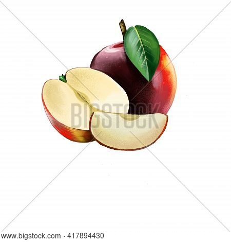 Red Apple On White Background. Half Of Apple And Slice. Apple Tree Malus Pumila Deciduous Tree In Th
