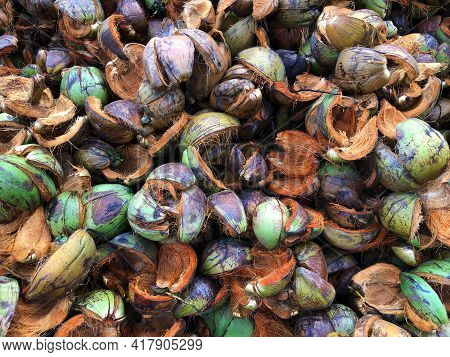 Waste Of Coconut Husks. Coconut Shell Is An Agricultural Waste And Is Available In Plentiful Quantit