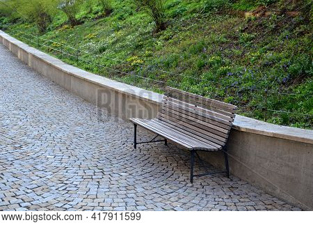 Bench At A Retaining Wall In A Park Of Black Bushes Early Spring Perennials On A High Flowerbed Path