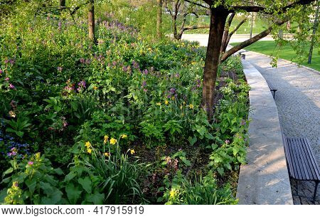 Bench At A Retaining Wall In A Park Of Black Bushes Early Spring Perennials On A High Flowerbed Path