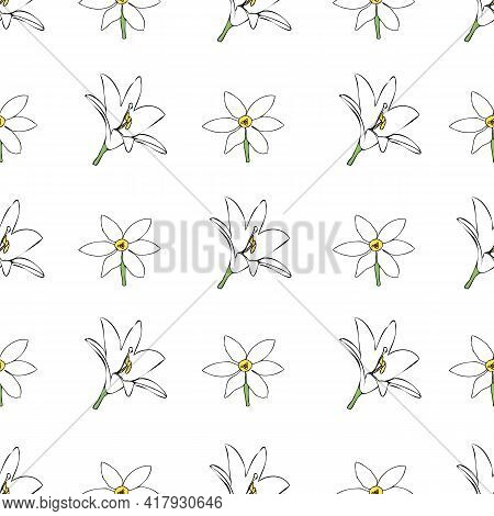 Vector White Background White Yellow Lemony Floral Seamless Pattern. Daisies, Lilies, Crocus. Seamle