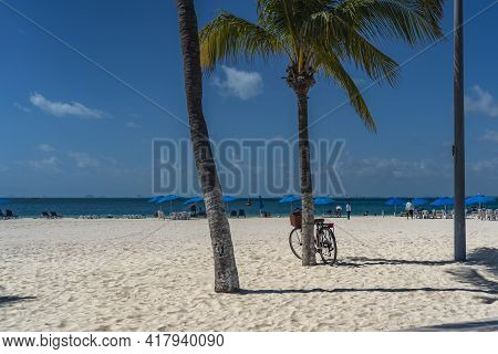 Bcycle Leaning On Palm Tree At A White Sandy Beach On Isla Mujeres. Cancun, Mexico