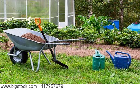 Gardening Landscape. Wheelbarrow, Garden Tools, Greenhouse In The Garden.