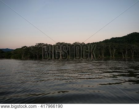 Panorama View Of Green Grass Wetland Shore Of Sauce Lagoon Lake Tarapoto Amazon River Jungle Rainfor