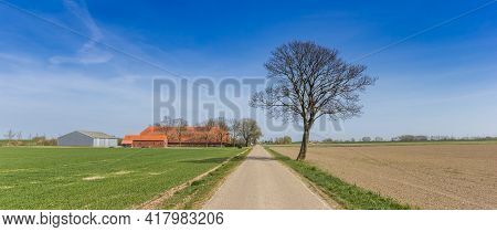 Panorama Of A Lone Tree And Road In The Flat Landscape Of Groningen, Holland