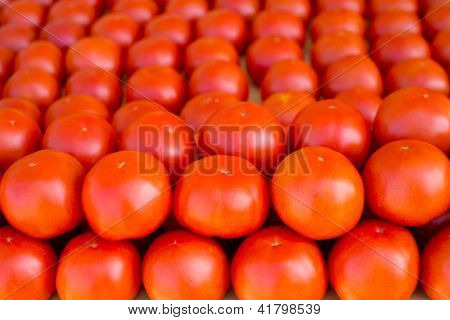 tomates légumes empilés dans une rangée sur l'écran du marché