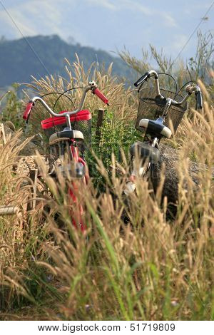 Bicycles