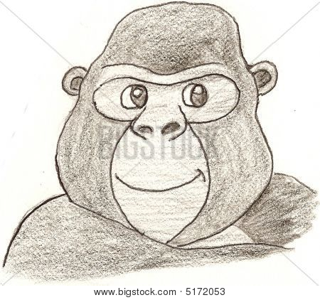 Simpático macaco