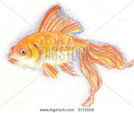 Peixinho