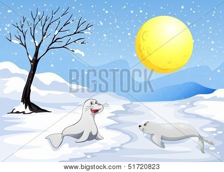 Illustration of the sea lions playing with the snow under the fullmoon