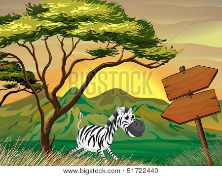 lllustration of a zebra running following the wooden arrowboards 